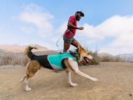 Ruffwear Swamp Cooler Zip Kühlweste für Hunde Aurora Teal 7