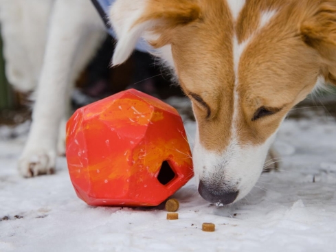 Ruffwear Gnawt-a-Rock™ befüllbares Hundespielzeug