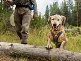 Ruffwear Brush Guard™ Brustpolster basalt gray 8