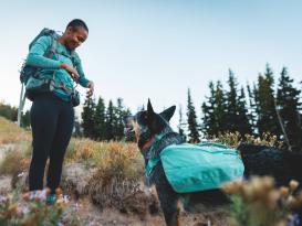 Ruffwear Front Range™ Hunderucksack 2.0 River Rock Green 8