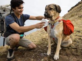 Ruffwear Swamp Cooler Core™ 2.0 kühlendes Brustpolster 8