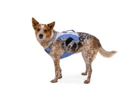 Ruffwear Swamp Cooler kühlendes Hundegeschirr Heliotrope Purple 8