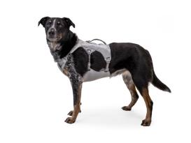 Ruffwear Swamp Cooler kühlendes Hundegeschirr Graphite Gray 8