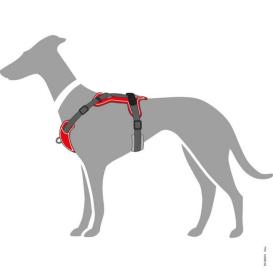 Hunter Hundegeschirr Divo rot/grau 8