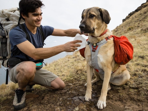 Ruffwear Swamp Cooler Core™ 2.0 kühlendes Brustpolster