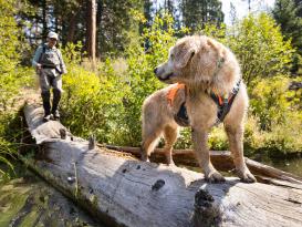 Ruffwear Brush Guard™ Brustpolster basalt gray 9