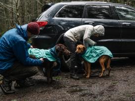 Ruffwear Dirtbag™ Hunde-Handtuchmantel Aurora Teal 9