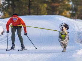 Ruffwear Omnijore™ Hundejöringsystem Lichen Green 9