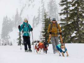 Ruffwear Vert Hundejacke Canyonlands Orange 9