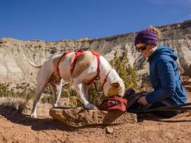 Ruffwear Web Master™ Hundegeschirr Red Sumac 9