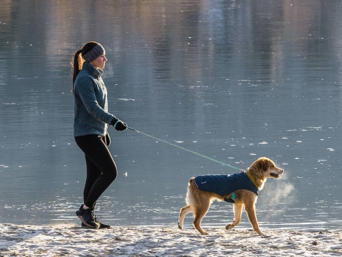 Ruffwear Stumptown™ gesteppter Hundemantel Orion Blue