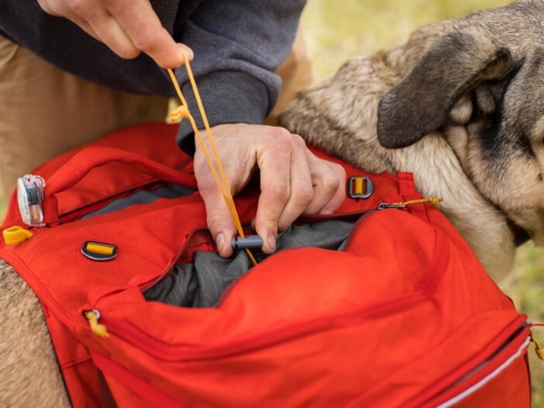 Ruffwear Palisades Pack Hunderucksack Red Sumac