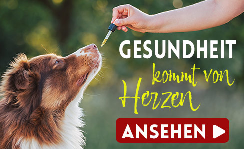 categoryHeaderBanner_Gesundheit